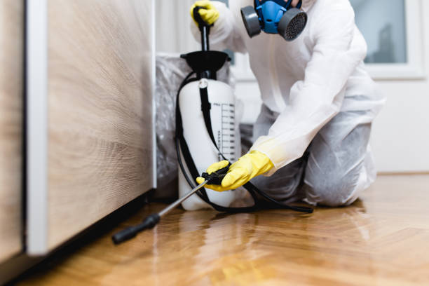 Best Local Pest Control Services  in Eddystone, PA