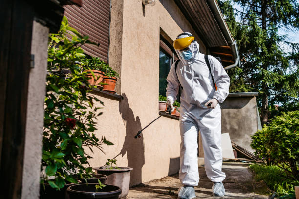 Best Residential Pest Control  in Eddystone, PA