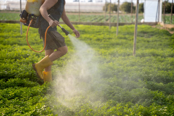 Best Best Pest Control Companies  in Eddystone, PA
