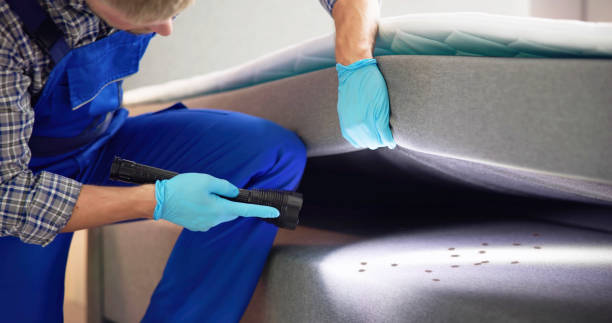 Best Rat Extermination Near Me  in Eddystone, PA